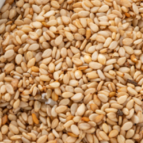 Sesame Seeds Wollega Type