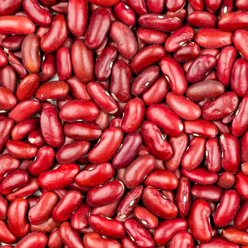 Red Kidney Beans ( Gojjam Type)