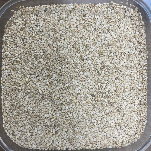 Sesame Seeds Wollega Type