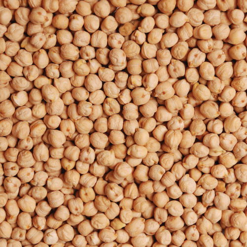 Desi Chickpea