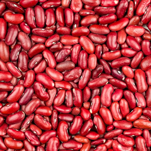 Red Kidney Beans ( Gojjam Type)