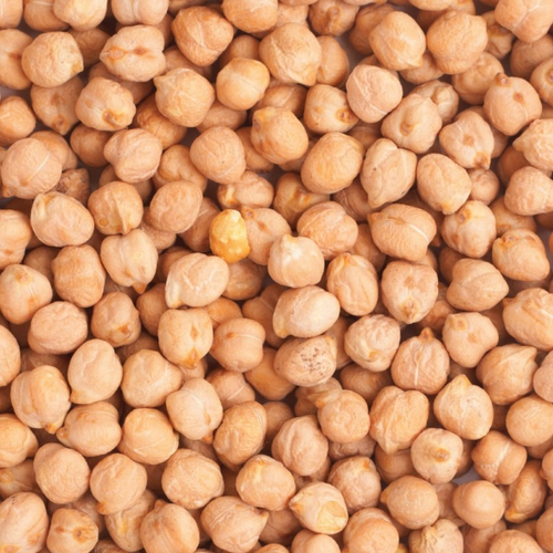 Kabuli Chickpea