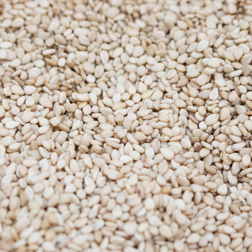 Sesame Seeds Humera Type
