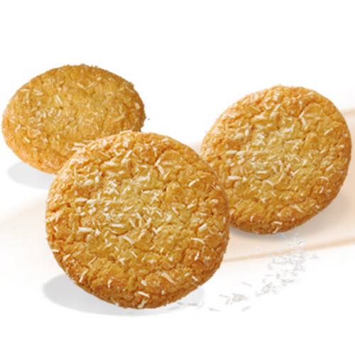 SUGAR FREE biscuits with coconut 100g