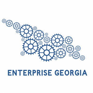 LEPL Enterprise Georgia