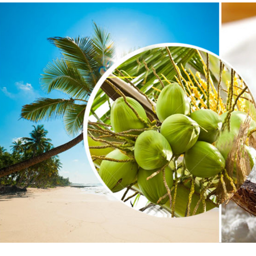 Coconut Water UHT