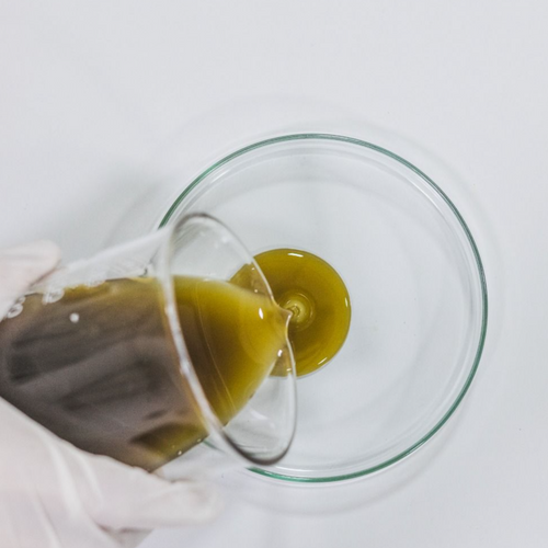 CRUDE HIGH OLEIC SAFFLOWER OIL