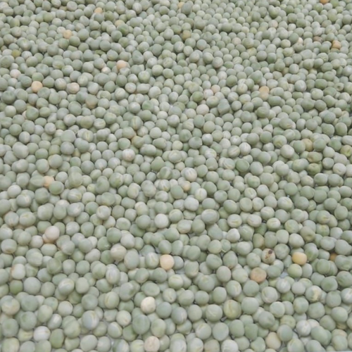Green and Yellow Peas