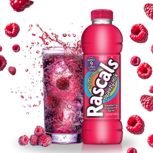 Rascals Squeezy Mix Raspberry Flavoured Syrup 750ml