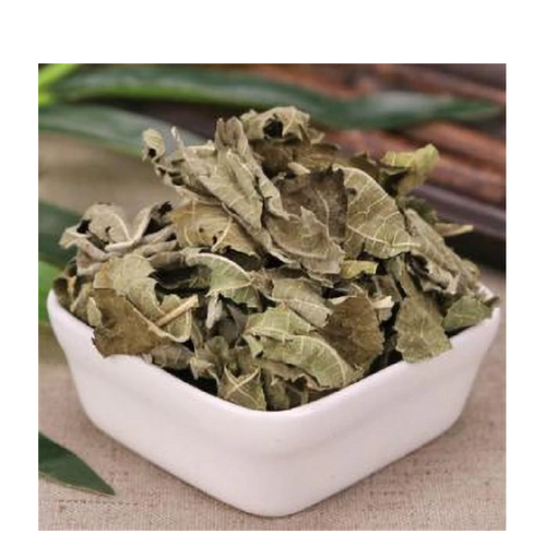 Patchouli Leaves