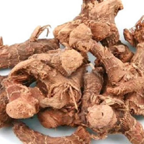 Galangal Roots