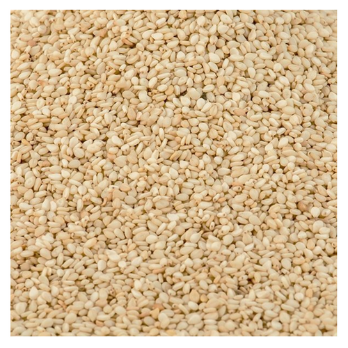 Sesame Seed