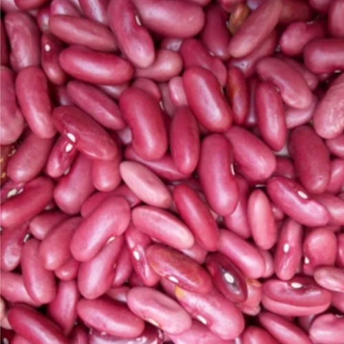 Kidney Bean