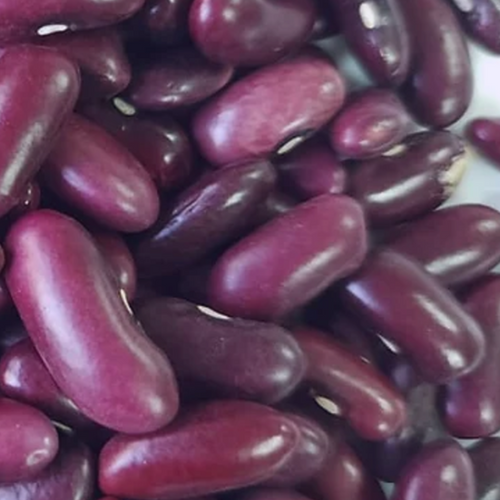 Kidney Bean