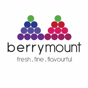 BERRYMOUNT VEGETABLES & FRUIT TRADING LLC