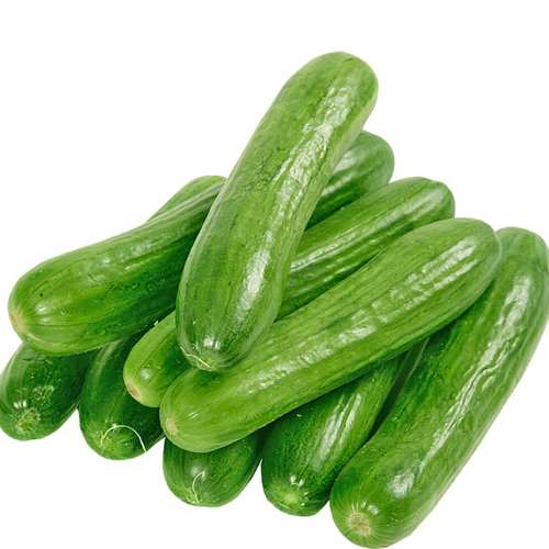 Fresh Vegetables