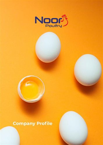 Noor Poultry Company Profile 2025