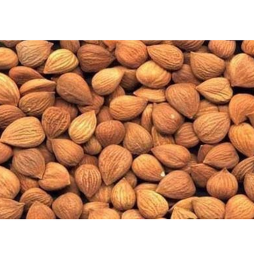 Apricot Kernels