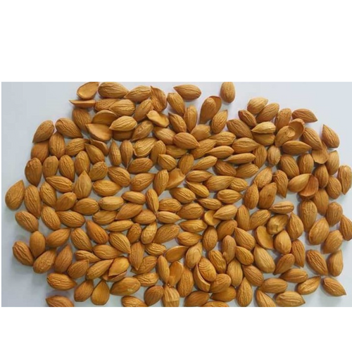 Apricot Kernels