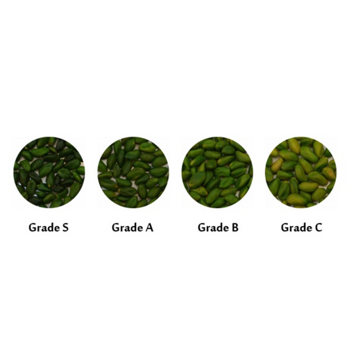 Green Pistachio Kernel
