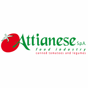 Attianese S.P.A.