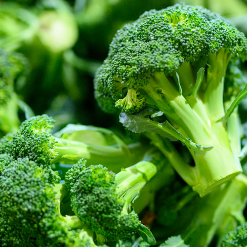 Fresh Vegetables