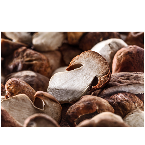 Dried porcini