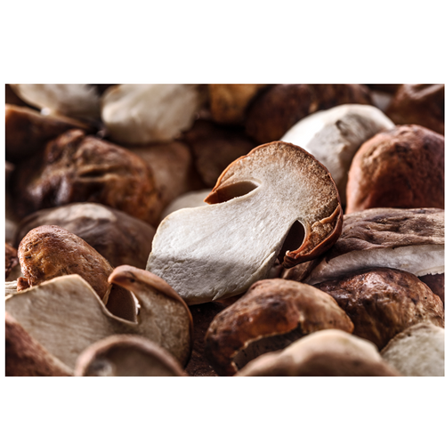 Dried porcini