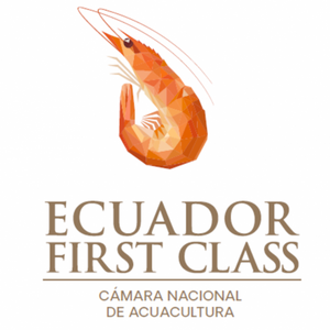 ECUADOR FIRST CLASS SHRIMP