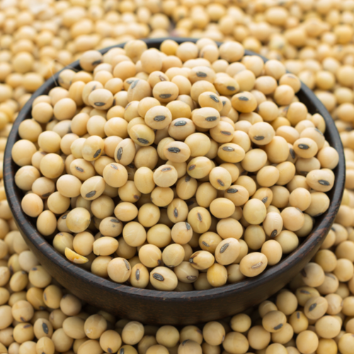 Non-GMO Soybeans