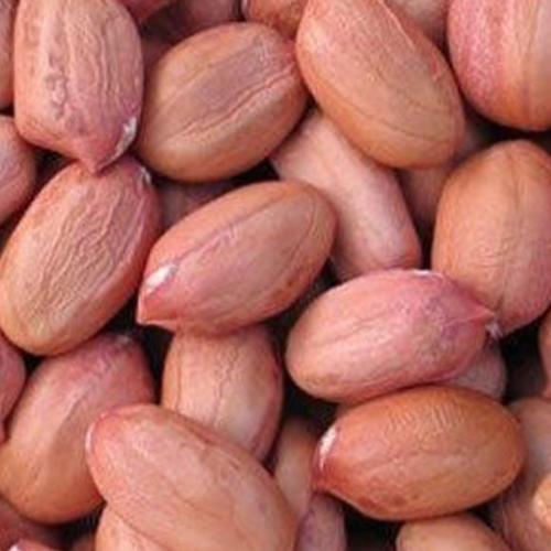 Peanuts Bold