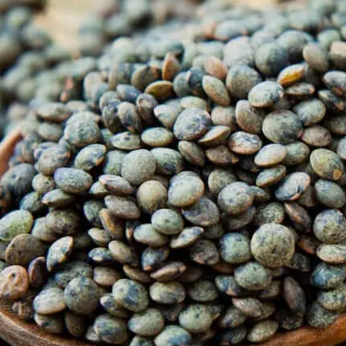 French lentils