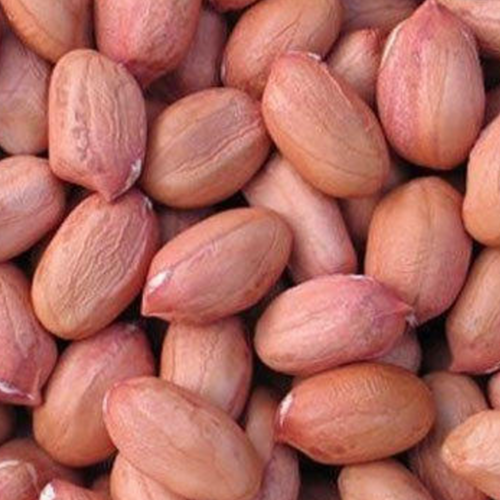 Peanuts Bold