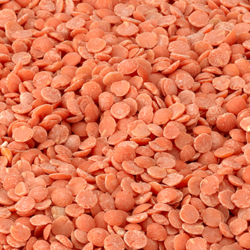 Red split lentils