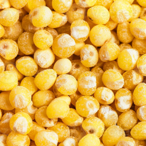 Yellow millet