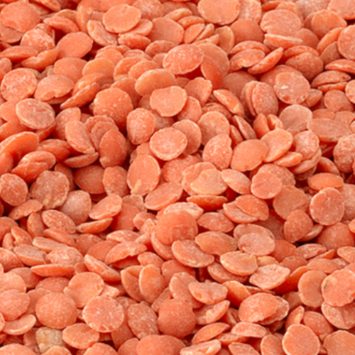 Red split lentils