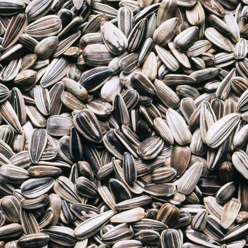 Sunflower seeds