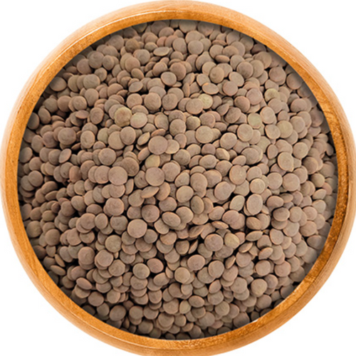 Red Lentils
