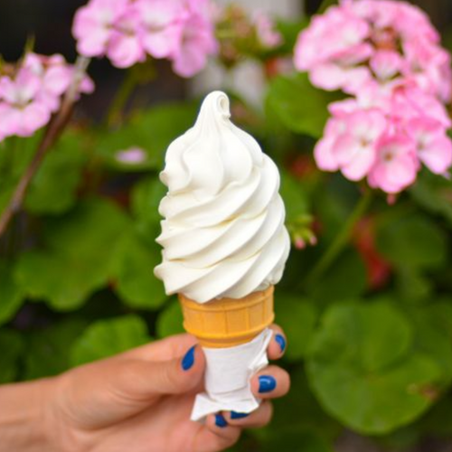 Frosty Boy Vegan Coconut Soft Serve Mix
