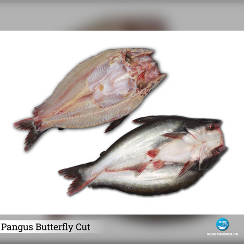 Pangus
