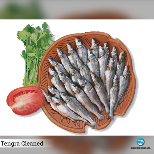 Tengra