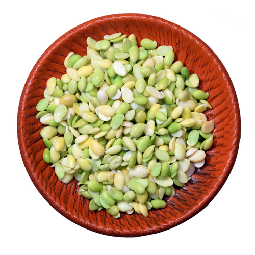 Bean Seed