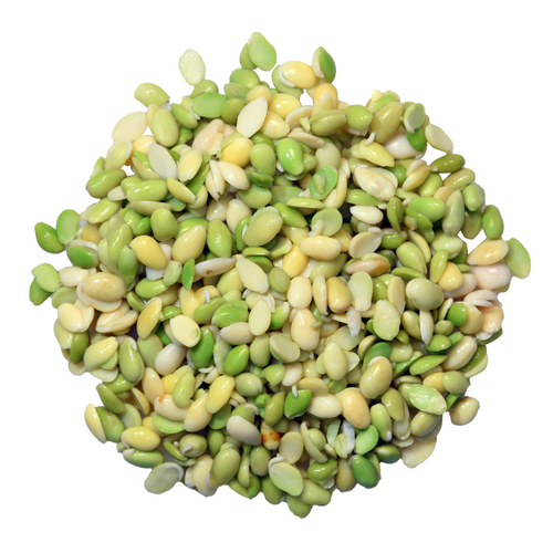 Bean Seed