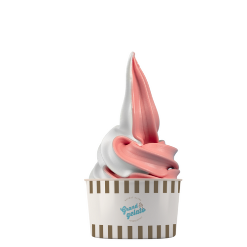 Ice Cream Powder