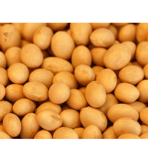 SOYA BEANS