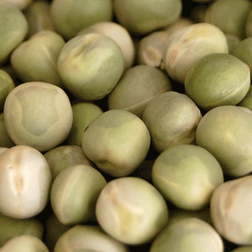WHOLE GREEN PEAS