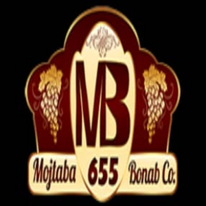 Mojtaba Bonab Co.