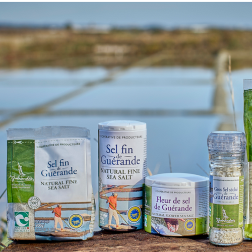 FINE SEA SALT 250gr Caster box - N&P