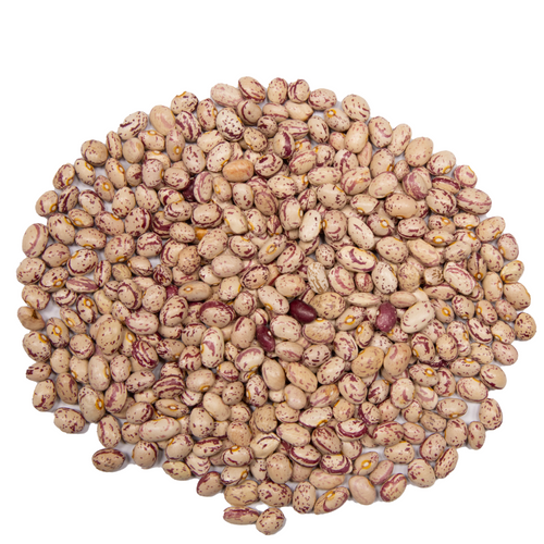 PINTO BEANS