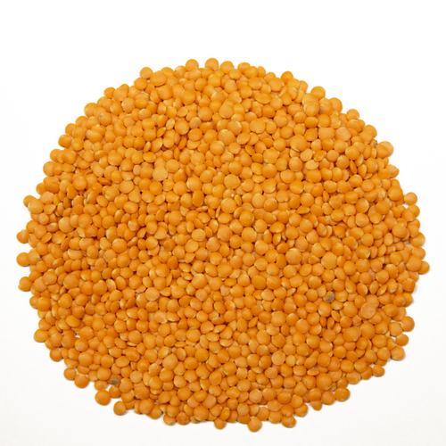 SPLIT RED LENTILS